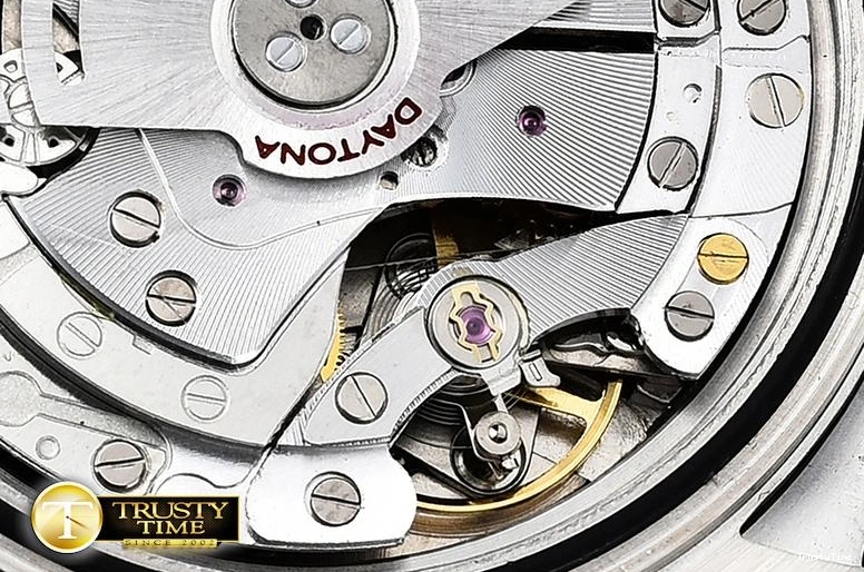 1119 ROLDYT0263D – Daytona FreshLook 913